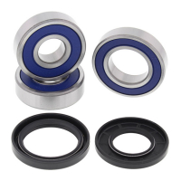 ALL BALLS WHEEL BEARING KIT, REAR