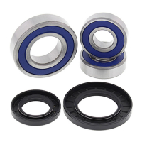 ALL BALLS WHEEL BEARING KIT, REAR