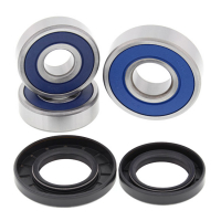 ALL BALLS WHEEL BEARING KIT, REAR