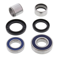 ALL BALLS WHEEL BEARING KIT, REAR