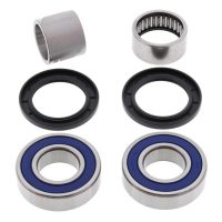 ALL BALLS WHEEL BEARING KIT, REAR