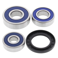 ALL BALLS WHEEL BEARING KIT, REAR