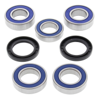 ALL BALLS WHEEL BEARING KIT, REAR