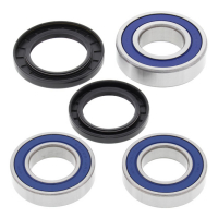 ALL BALLS WHEEL BEARING KIT, REAR