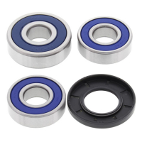 ALL BALLS WHEEL BEARING KIT, REAR