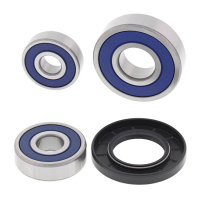 ALL BALLS WHEEL BEARING KIT, REAR