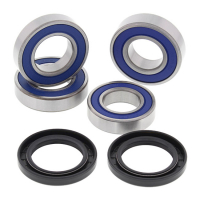 ALL BALLS WHEEL BEARING KIT, REAR