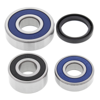 ALL BALLS WHEEL BEARING KIT, REAR