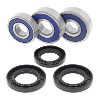 ALL BALLS WHEEL BEARING KIT, REAR