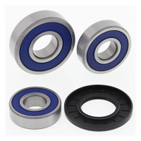 ALL BALLS WHEEL BEARING KIT, REAR