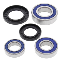 ALL BALLS WHEEL BEARING KIT, REAR