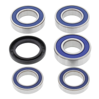 ALL BALLS WHEEL BEARING KIT, REAR