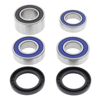 ALL BALLS WHEEL BEARING KIT, REAR