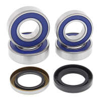 ALL BALLS WHEEL BEARING KIT, REAR