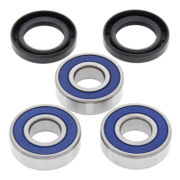 ALL BALLS WHEEL BEARING KIT, REAR