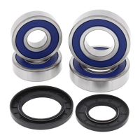 ALL BALLS WHEEL BEARING KIT, REAR