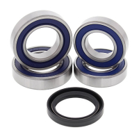 ALL BALLS WHEEL BEARING KIT, REAR