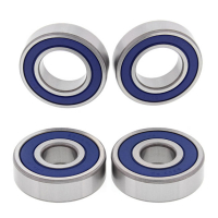 ALL BALLS WHEEL BEARING KIT, REAR