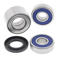 ALL BALLS WHEEL BEARING KIT, REAR