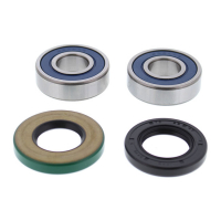 ALL BALLS WHEEL BEARING KIT, REAR