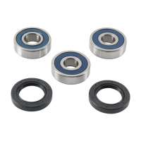 ALL BALLS WHEEL BEARING KIT, REAR