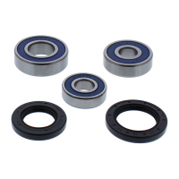 ALL BALLS WHEEL BEARING KIT, REAR