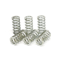 TRW CLUTCH SPRING KIT