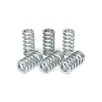 TRW CLUTCH SPRING KIT