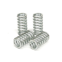 TRW CLUTCH SPRING KIT