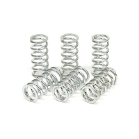 TRW CLUTCH SPRING KIT