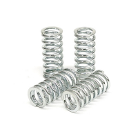 TRW CLUTCH SPRING KIT