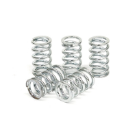 TRW CLUTCH SPRING KIT