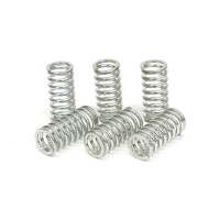 TRW CLUTCH SPRING KIT