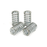 TRW CLUTCH SPRING KIT