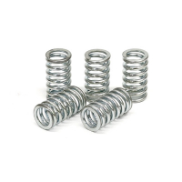 TRW CLUTCH SPRING KIT