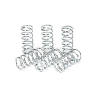 TRW CLUTCH SPRING KIT