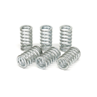 TRW CLUTCH SPRING KIT