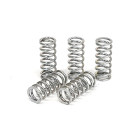 TRW CLUTCH SPRING KIT