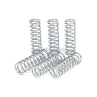 TRW CLUTCH SPRING KIT