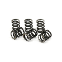 TRW CLUTCH SPRING KIT