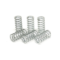 TRW CLUTCH SPRING KIT