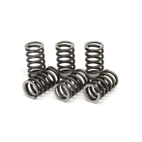 TRW CLUTCH SPRING KIT