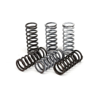 TRW CLUTCH SPRING KIT