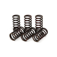 TRW CLUTCH SPRING KIT