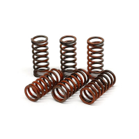 TRW CLUTCH SPRING KIT