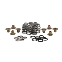 KPMI BEEHIVE VALVE SPRING KIT .625" LIFT