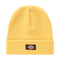 DICKIES GIBSLAND BEANIE APRICOT