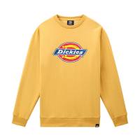 DICKIES PITTSBURGH SWEATSHIRT APRICOT