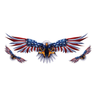 LT USA EAGLE DECAL