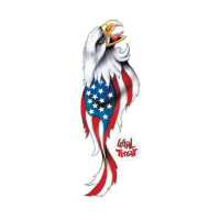 LT USA EAGLE RIGHT DECAL